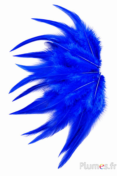 Gallo - 8-12 cm - blu